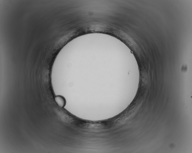 X0000101680401200808071114