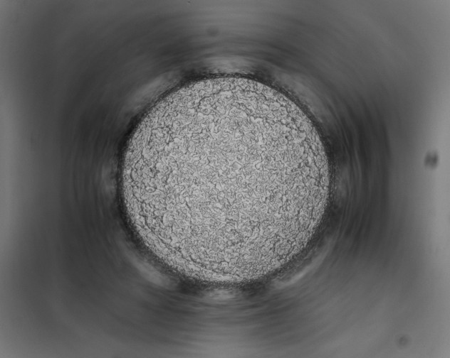 X0000101680402200808071114