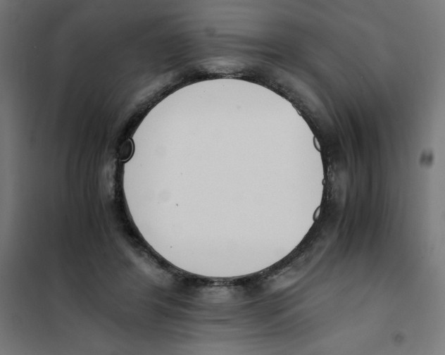 X0000101680404200808071114