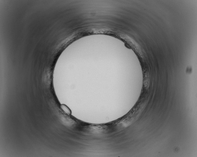 X0000101680405200808071114