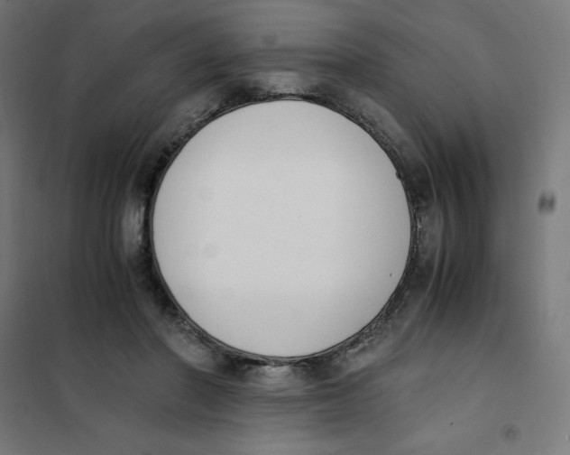 X0000101680406200808071114