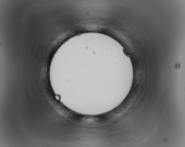 X0000101680407200808071114