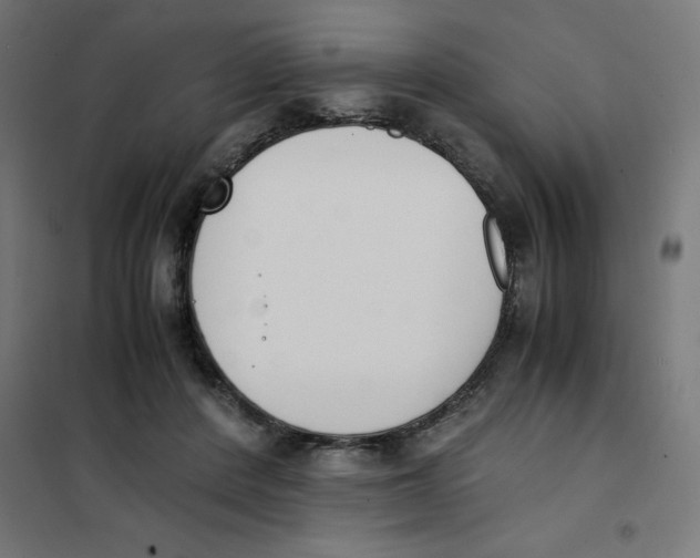 X0000101680408200808071114