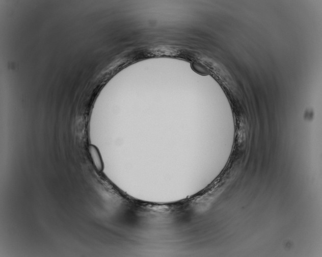 X0000101680409200808071114