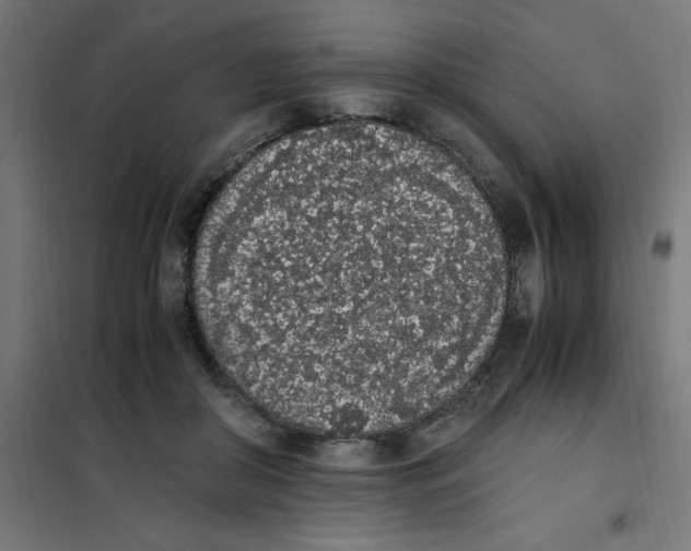 X0000101680410200808071114