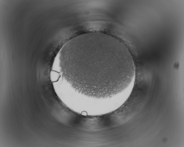 X0000101680411200808071114