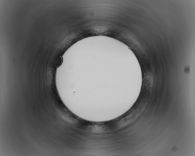 X0000101680412200808071114