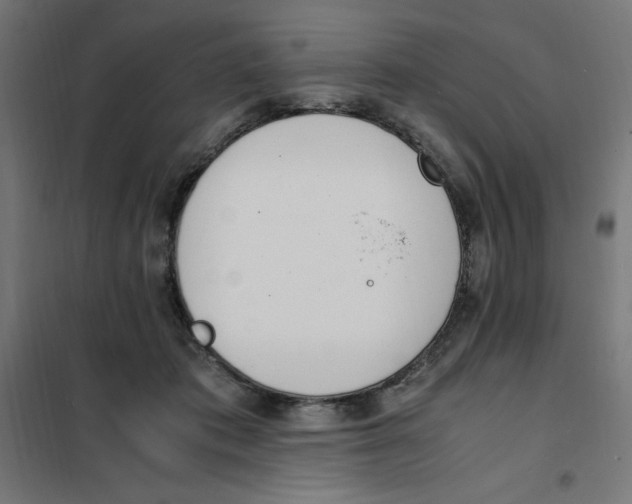 X0000101680413200808071114