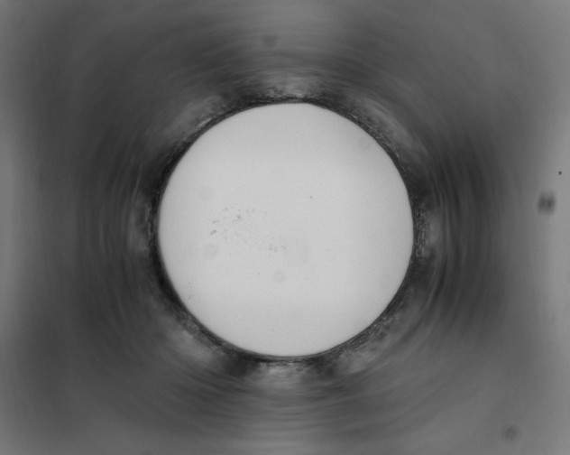 X0000101680414200808071114