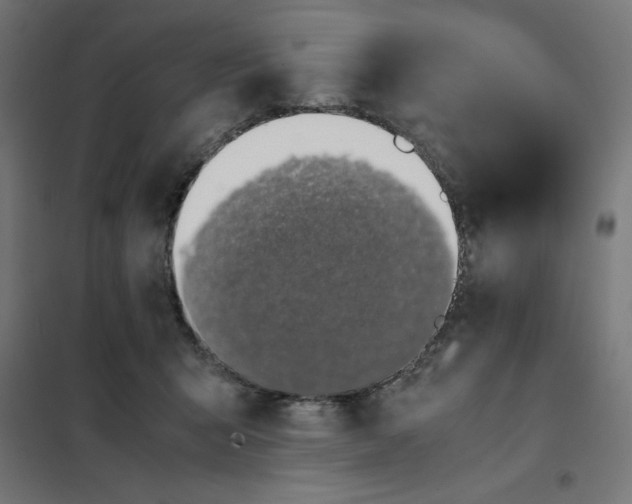 X0000101680415200808071114