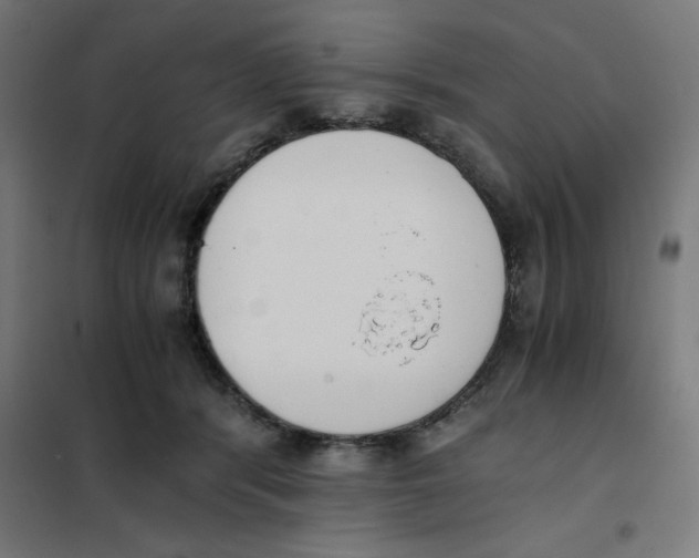 X0000101680416200808071114
