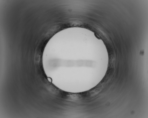 X0000101680417200808071114