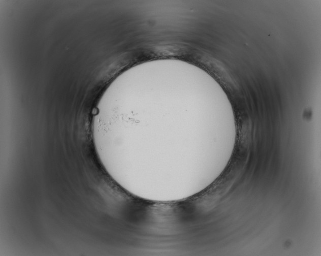 X0000101680418200808071114