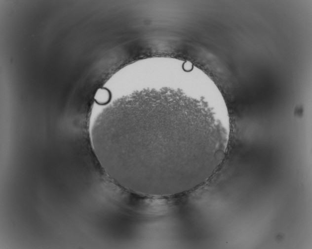 X0000101680419200808071114