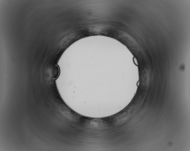 X0000101680420200808071114