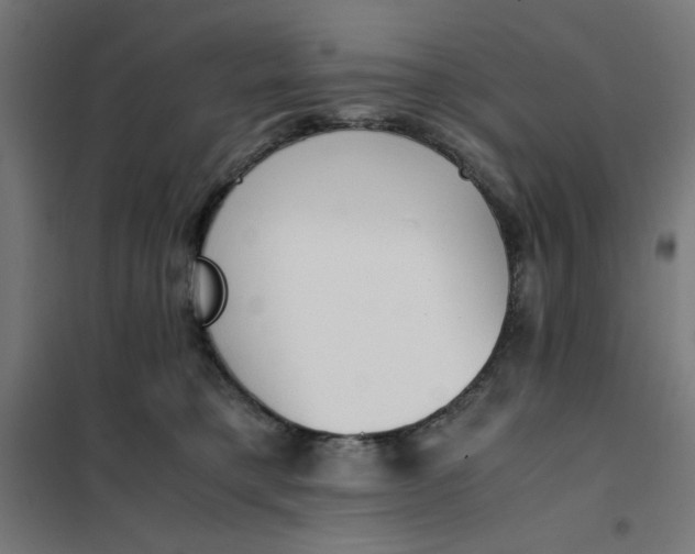 X0000101680421200808071114