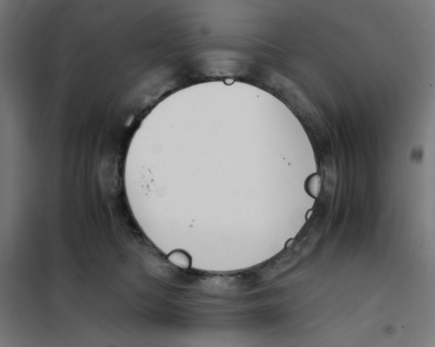 X0000101680422200808071114