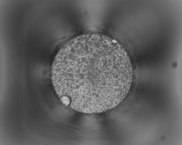 X0000101680423200808071114
