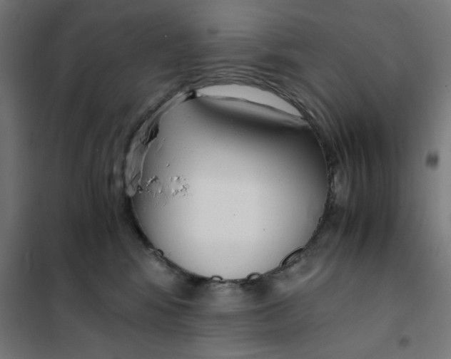 X0000101680424200808071114