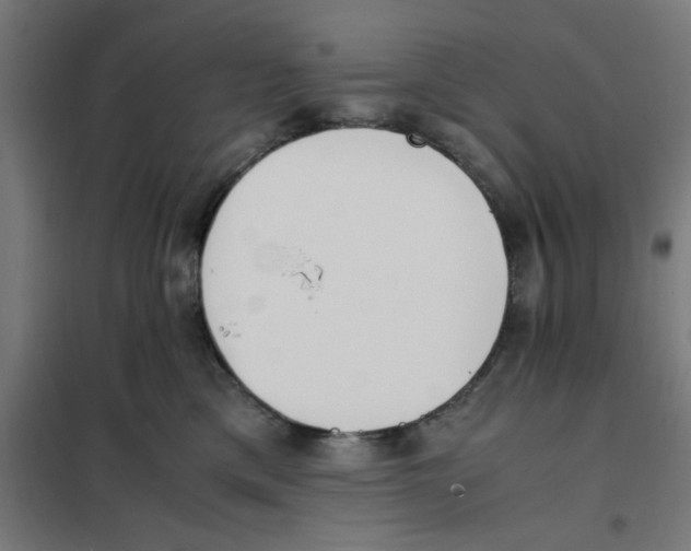 X0000101680425200808071114