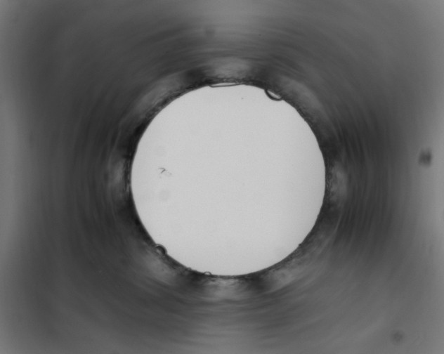 X0000101680428200808071114