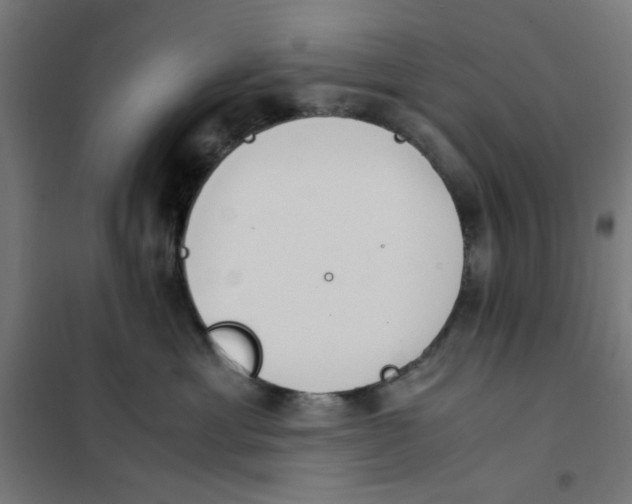 X0000101680429200808071114