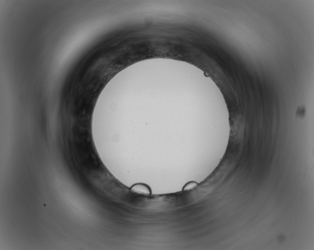 X0000101680430200808071114