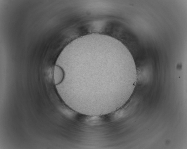 X0000101680431200808071113