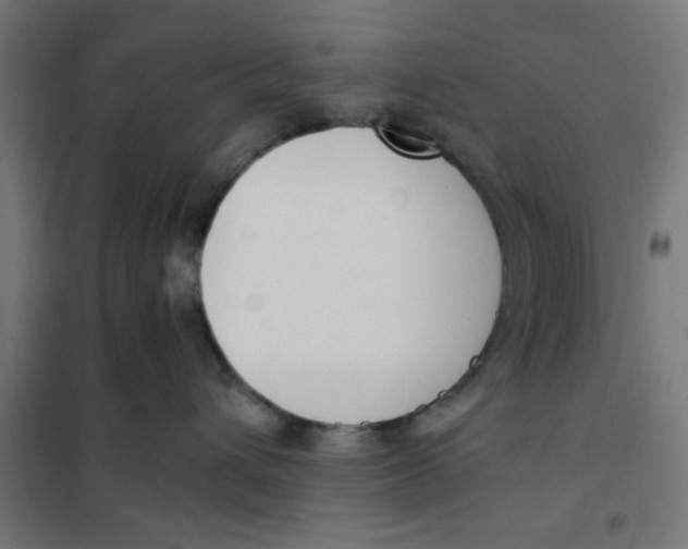 X0000101680432200808071113