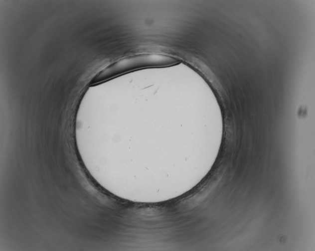 X0000101680433200808071113