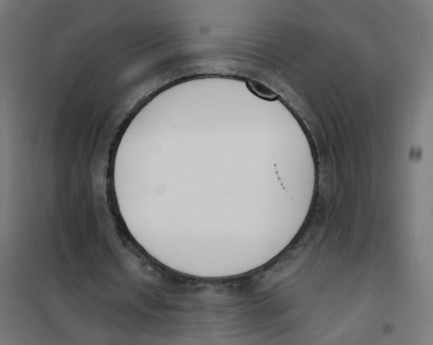 X0000101680434200808071113