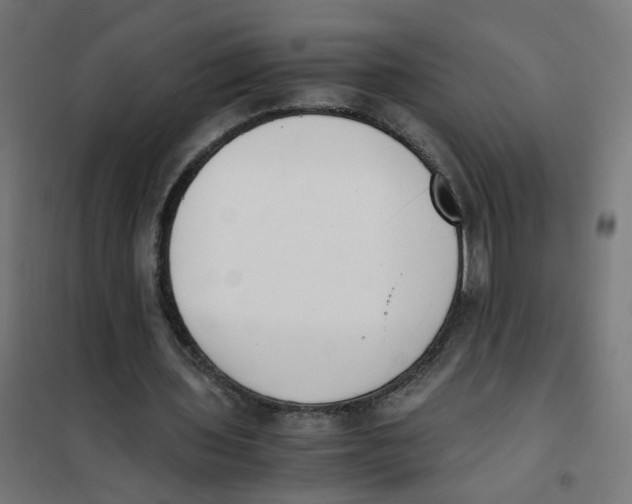X0000101680435200808071113