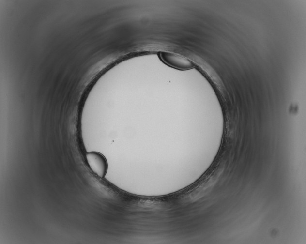 X0000101680437200808071113