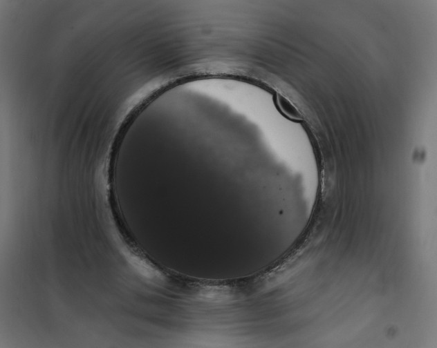 X0000101680438200808071113