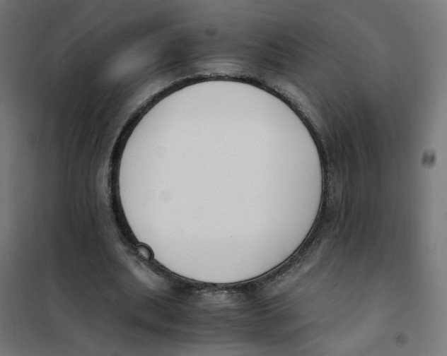X0000101680439200808071113