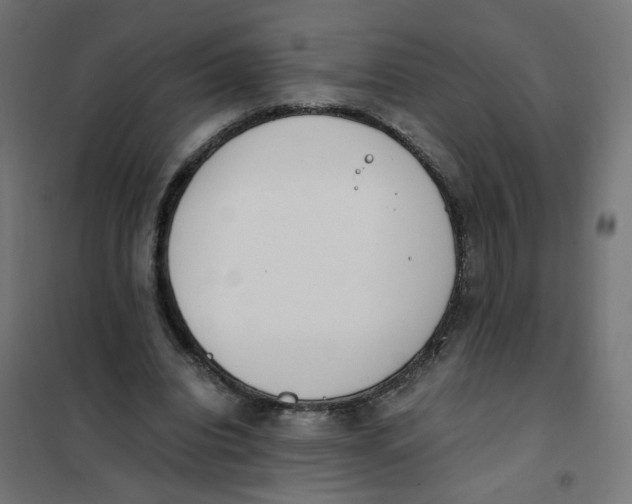 X0000101680440200808071113