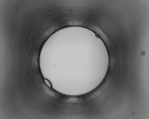 X0000101680441200808071113