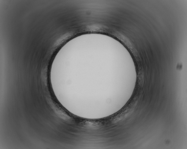 X0000101680442200808071113