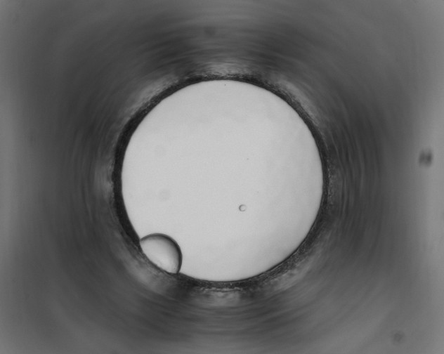 X0000101680443200808071113