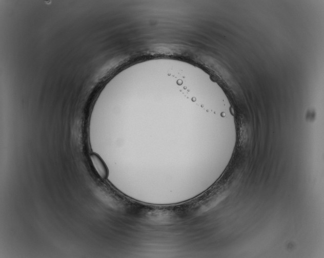 X0000101680444200808071113