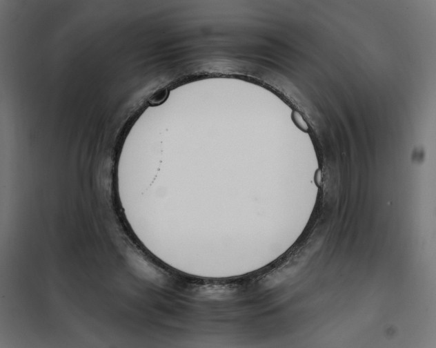 X0000101680445200808071113