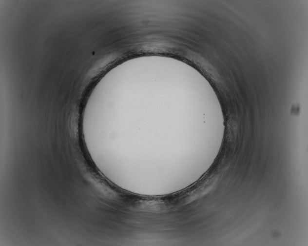 X0000101680446200808071113