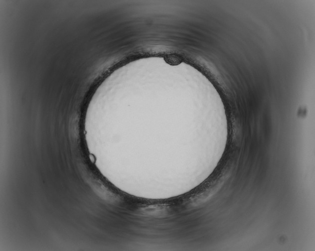 X0000101680447200808071113