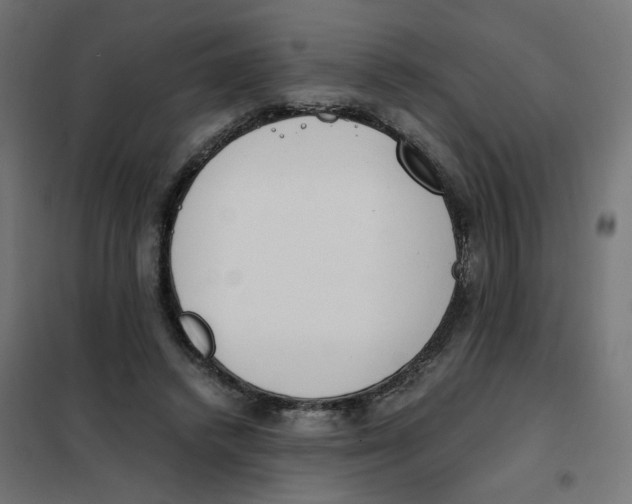 X0000101680448200808071113