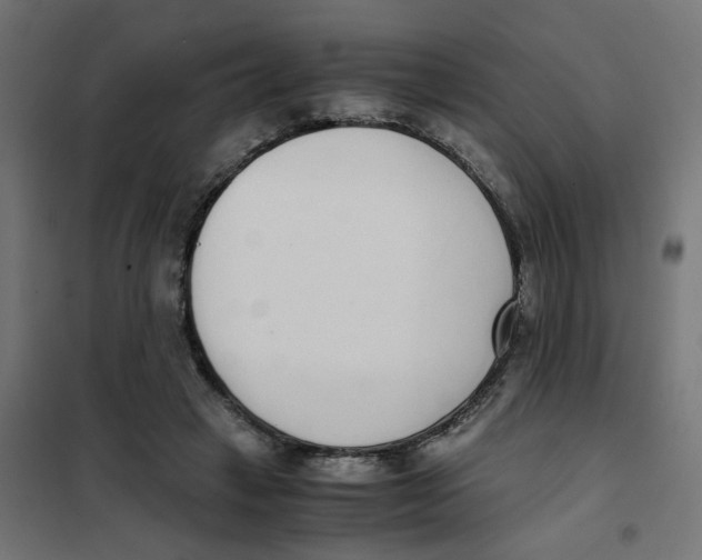 X0000101680449200808071113