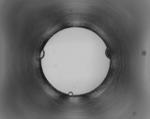 X0000101680450200808071113