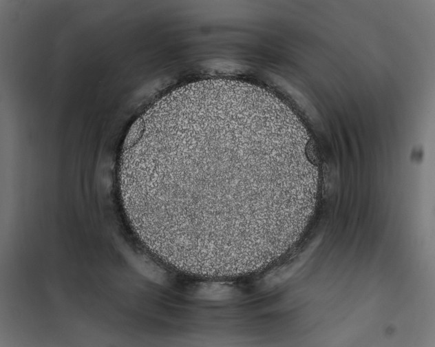 X0000101680451200808071113