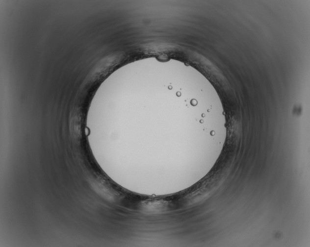 X0000101680452200808071113