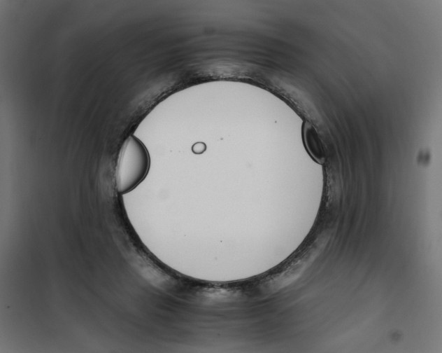 X0000101680453200808071113