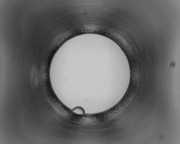 X0000101680455200808071113